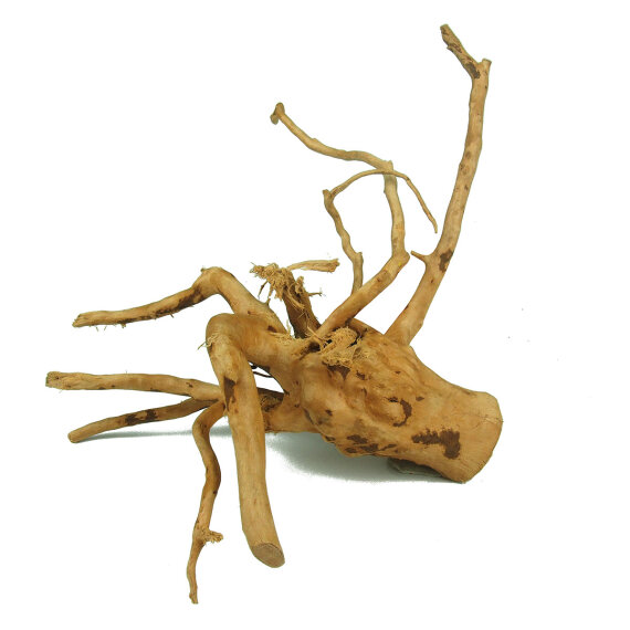 Finger-Wurzel für Aquarien, X-Small 15 - 20cm
