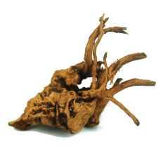 Finger-Wurzel für Aquarien, X-Small 15 - 20cm