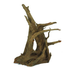 Corbo-Wurzel Small 30 - 40cm, Aquariumwurzel mit Huminsäureabgabe