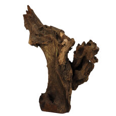 Barico-Wurzel, small 15 - 20 cm