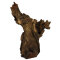 Barico-Wurzel, small 15 - 20 cm