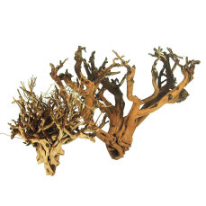 Etosha-Tree, besondere Aquarienwurzel verschiedene...