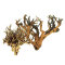 Etosha-Tree, besondere Aquarienwurzel verschiedene Größen