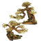 Aqua-Bonsai - Aquariumwurzel verschiedene Größen