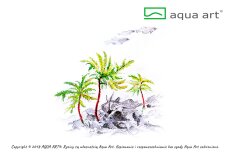 Climacium japonicum - InVitro