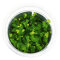 Hydrocotyle sp. ’Japan’ - Japanischer Wassernabel InVitro