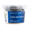 Ludwigia repens Mesakana - farbenfrohe Pflanze InVitro