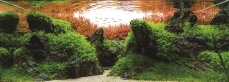 Aquariumlayout 116 von Tropica für ein 45 l Aquarium