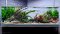 Aquarienlayout 120 von Tropica für ein 70  l Aquarium