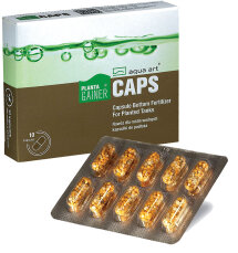 Planta Gainer CAPS 10 Kapseln im Blister