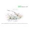 Helanthium tenellum InVitro von AquaArt